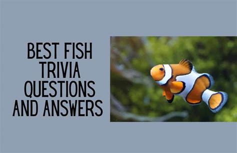 fish trivia|fish trivia questions and answers.